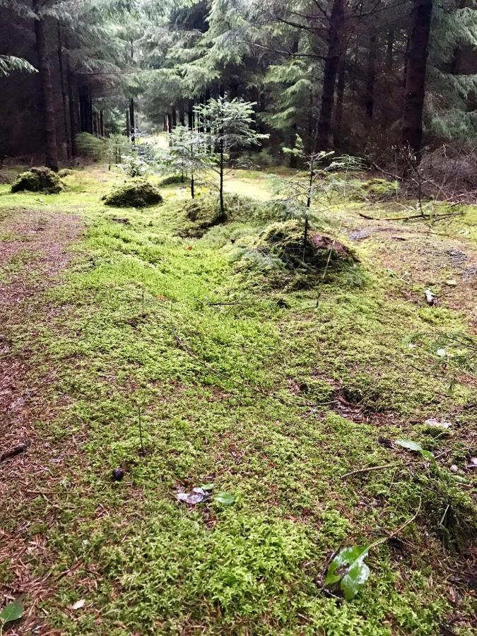 Srokowski Dwor 1 - Dom Ochmistrza Srokowo Eksteriør bilde